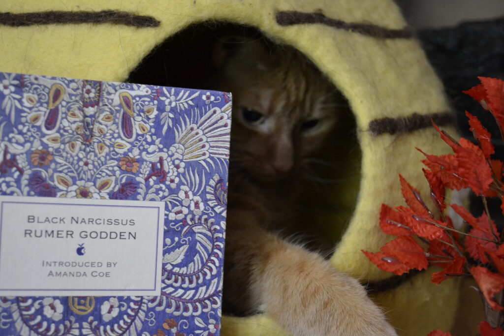 Intently, an orange tabby paws at a miniature tree with orange leaves. A blue book stands beside her.