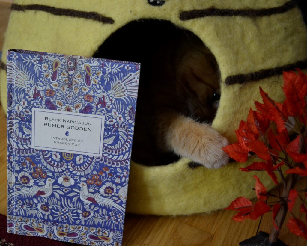 A cat hides behind a book, inside a cat cave. One paw comes out to bat at a miniature tree.