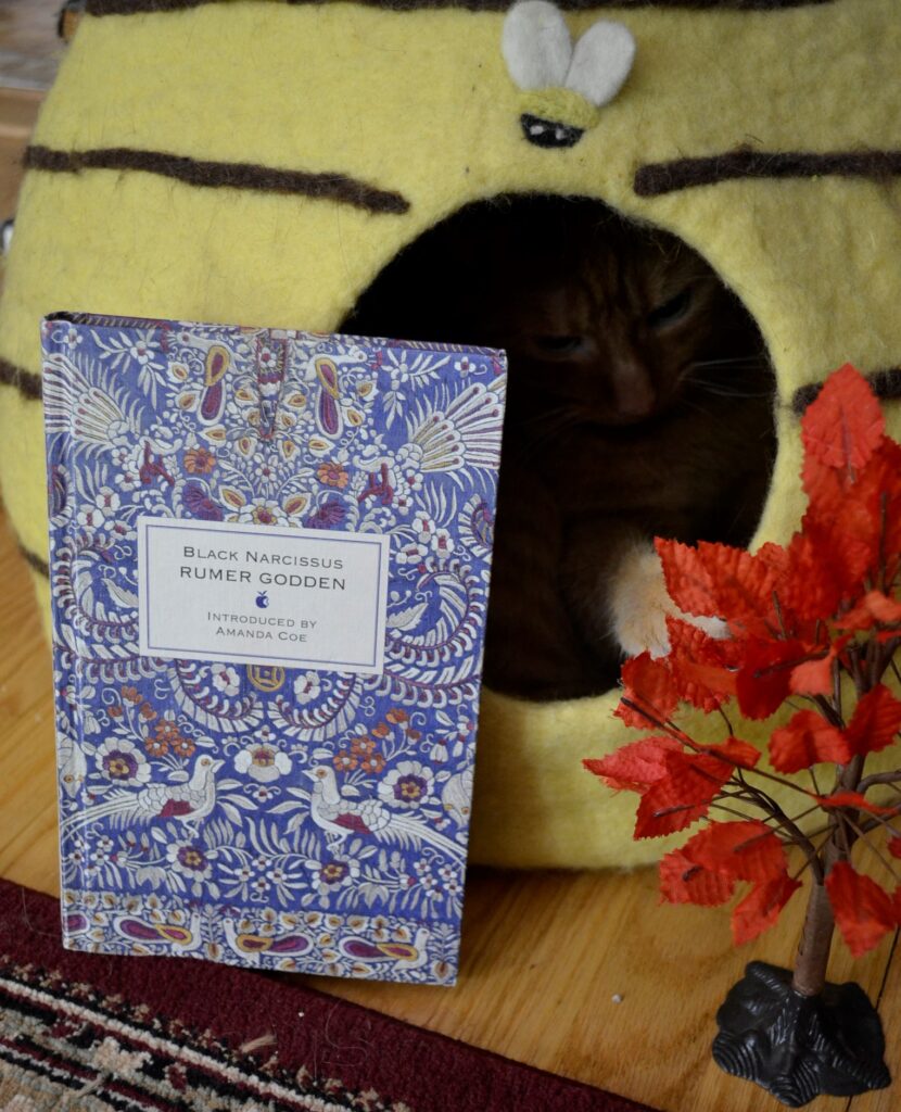 A cat hides in a beehive-shaped cat cave behind a blue book with embroidery designs on it.