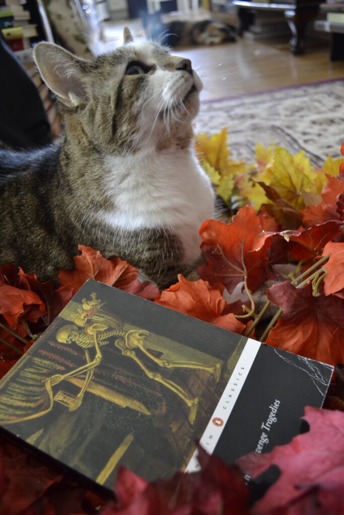 A tabby cat looks upwards. In the leaves beside her, Three Revenge Tragedies can be seen.