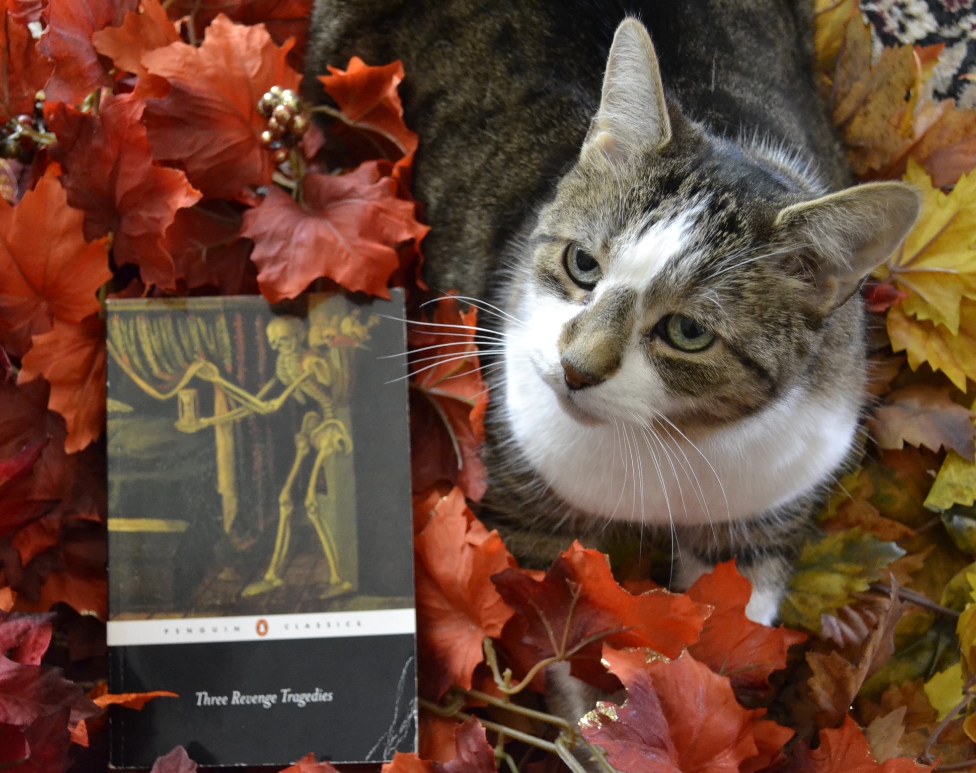 A tabby cat with big ears looks up from a pile of red and yellow leaves. A book lies beside her.