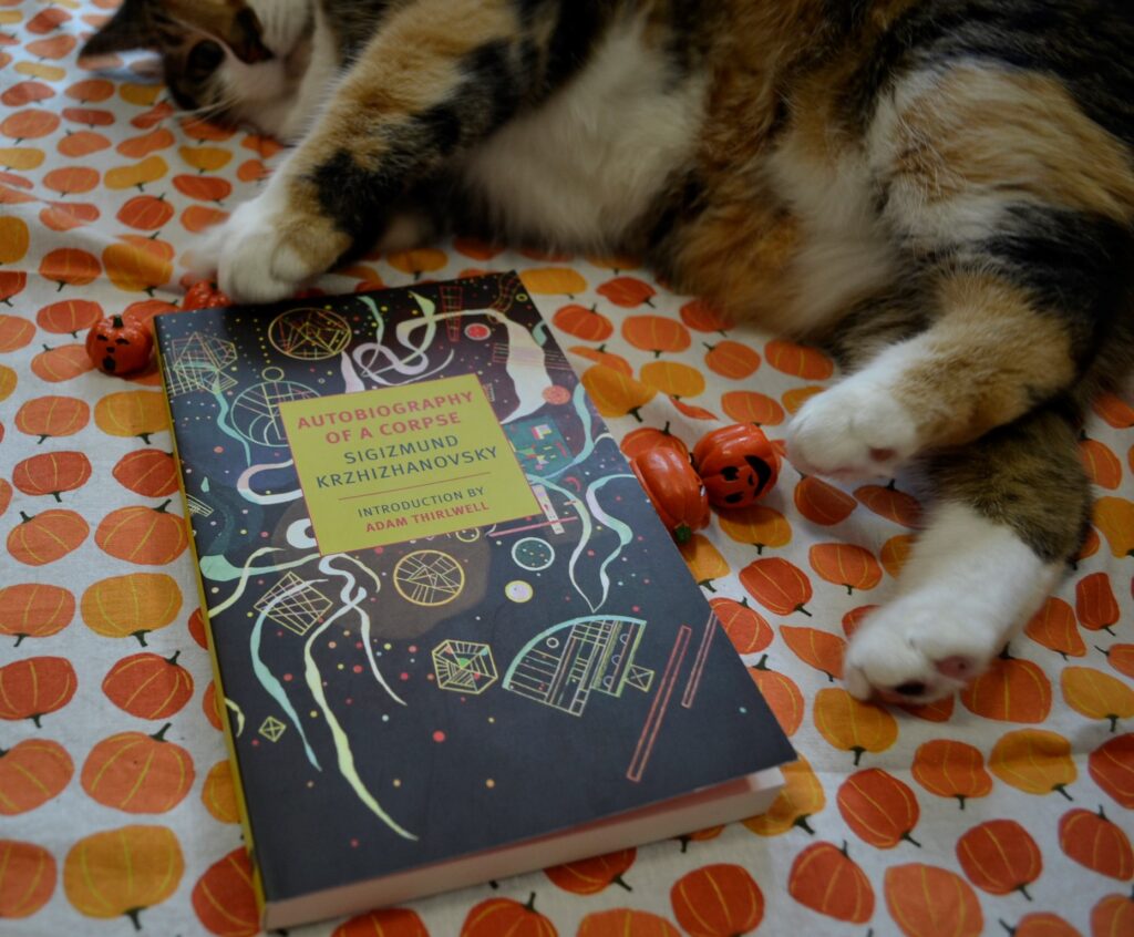 A calico tabby lies belly up beside a book with a dark, swirling, and geometric cover.