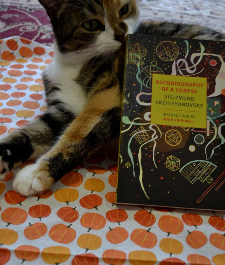 A calico tabby lies on a pumpkin-patterned backdrop with Sigizmund Krzhizhanovsky's Autobiography of a Corpse.