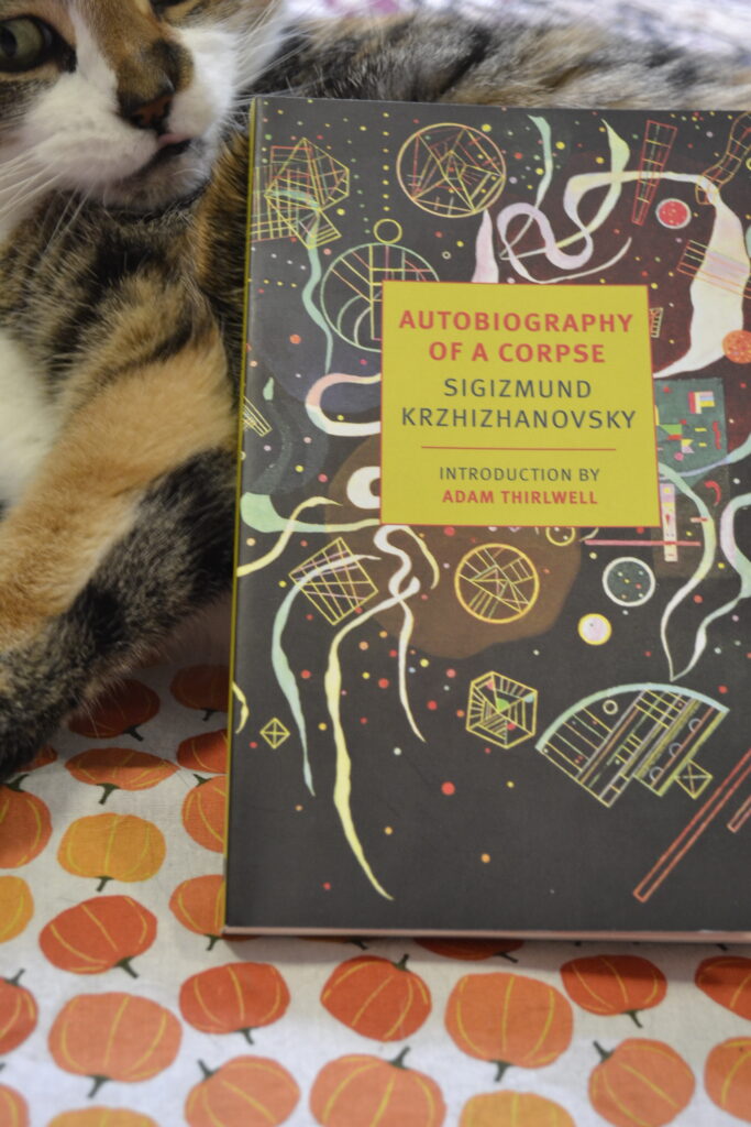 A cat sniffs the corner of Sigizmund Krzhizhanovsky's Autobiography of a Corpse.