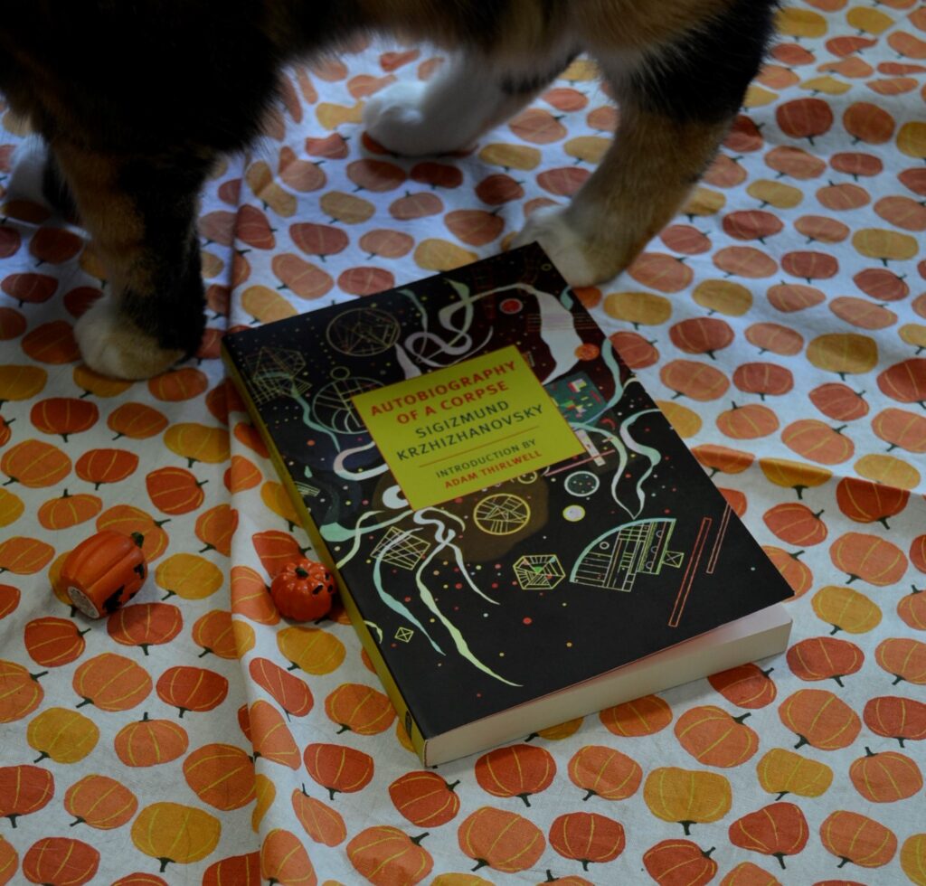 A cat stands over Autobiography of a Corpse. Little miniature jack-o-lantern figures lie beside the book.