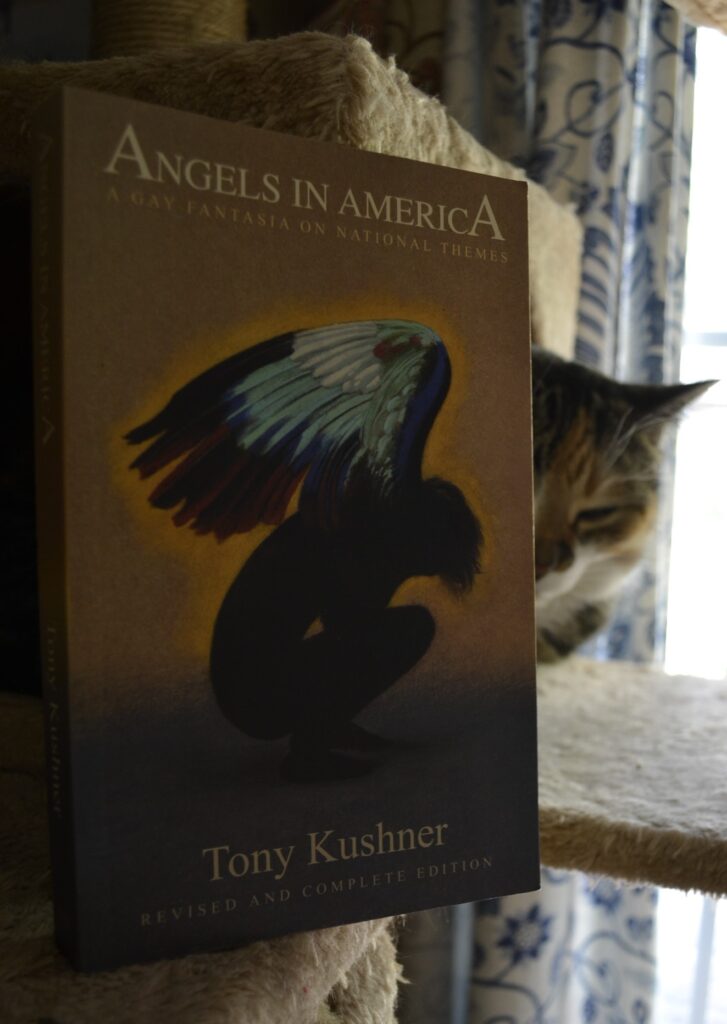 Behind a copy of Angels in America, sleeps a calico tabby.