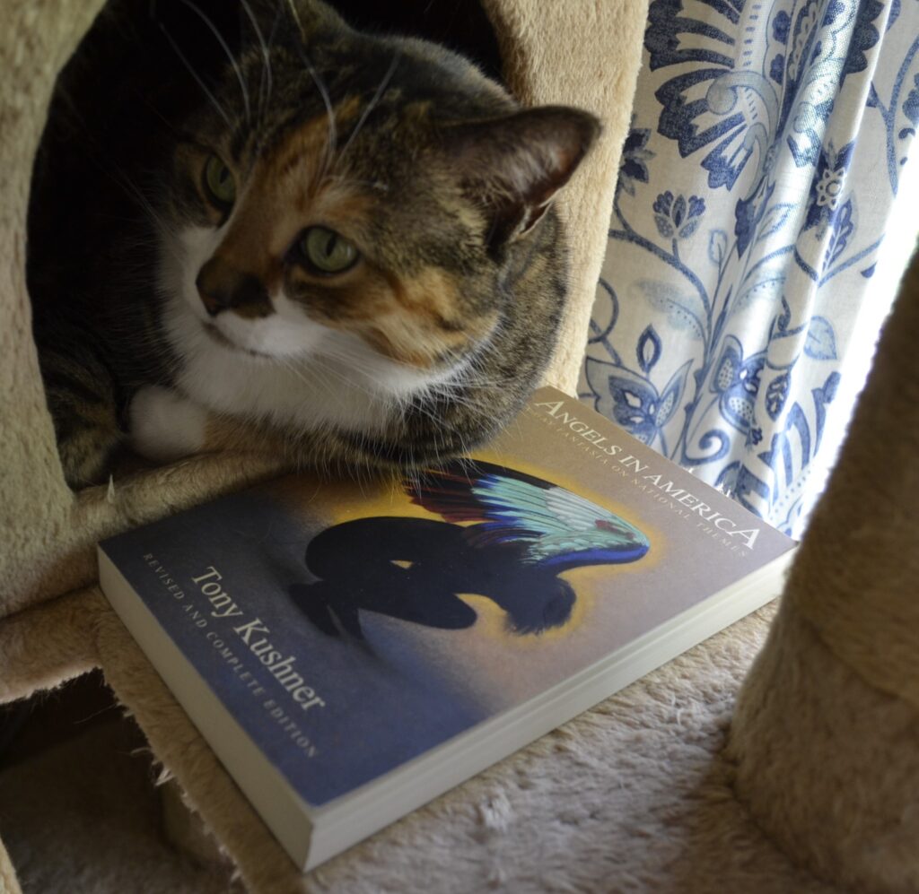 A calico tabby leans one side on Tony Kushner's Angels in America.