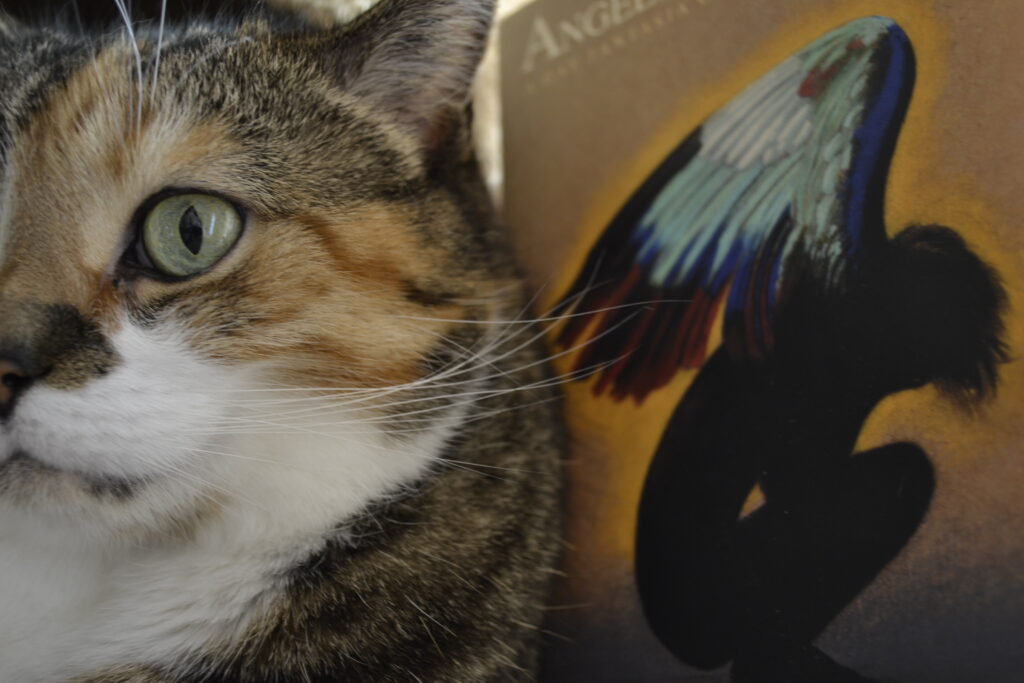 A cat with green eyes sits beside a book whose cover features the silhouette of a weeping angel with green wings.