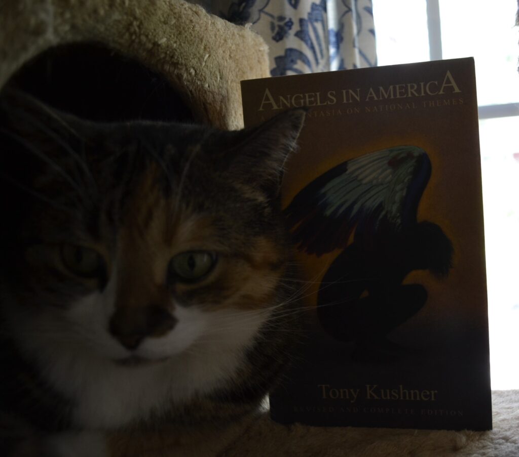 Drenched in shadows, a cat sits beside a book with a weeping angle on the cover.