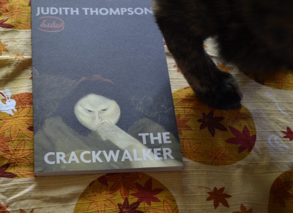 A tortie's back paw pushes against a book on a fall leaf and bunny background.