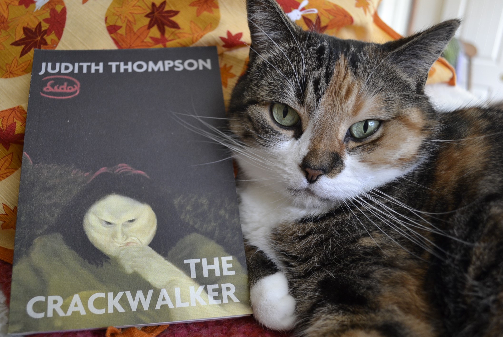 A calico tabby leans glamorously against the side of Judith Thompson's The Crackwalker.