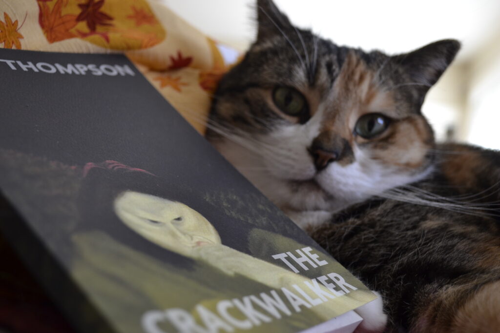 A cat site behind a copy of Judith Thompson's The Crackwalker.