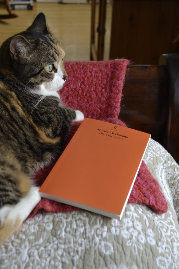 A calico tabby sits in pale light beside a copy of The Pillowman.