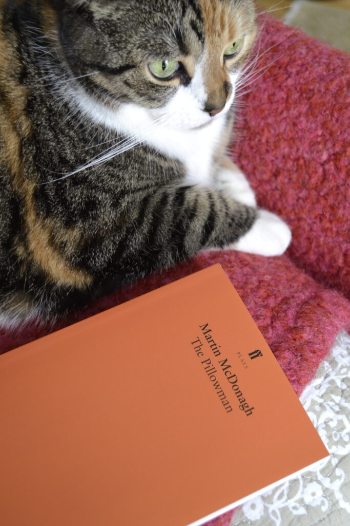 A calico tabby contemplates something as it sits beside a thin, orange book. The cover is plain orange with only a small bit of text.