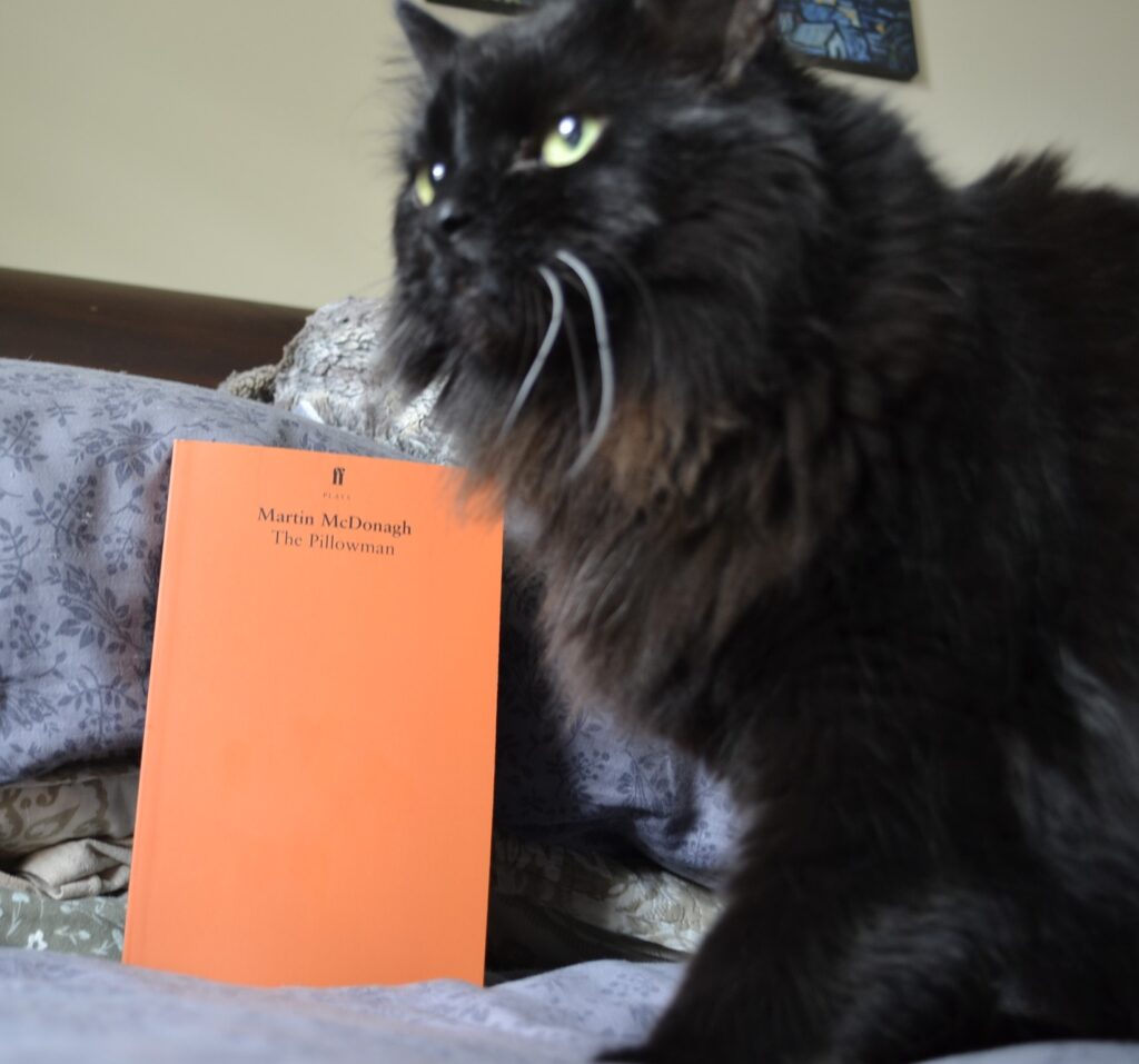 A fluffy black cat stands in front of an orange book.