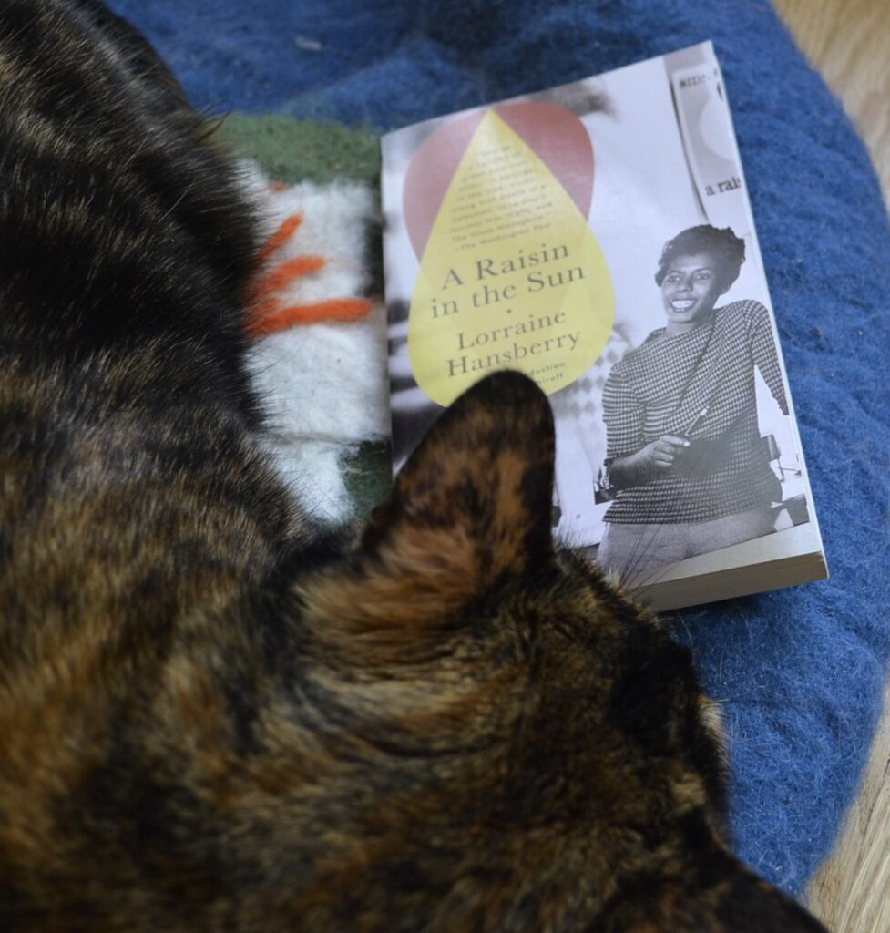 A tortoiseshell cat curled around the edge of a book. The book is A Raisin in the Sun by Lorraine Hansberry.