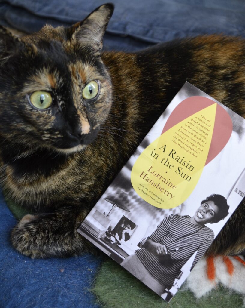 A Raisin in the Sun by Lorraine Hansberry has a cover that features a black-and-white picture of Hansberry leaning against a desk and holding a pen.