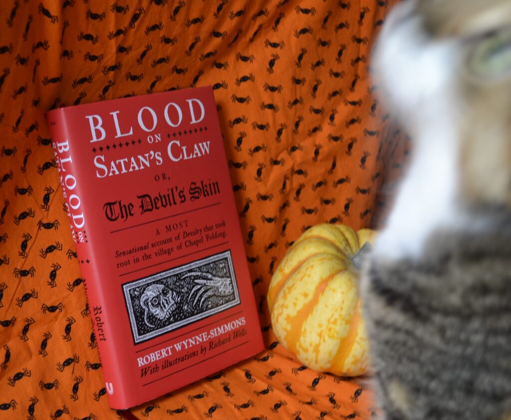 A calico tabby noodles on an orange spider-patterned background with a little yellow-orange squash and a red book.