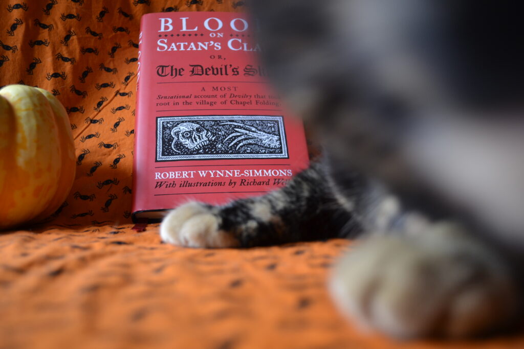 A too-close cat obscures the cover of a red book.