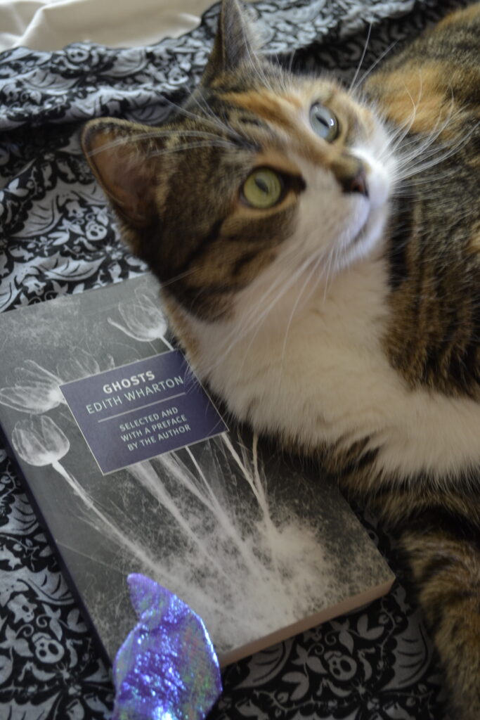 A ghostly image of a cat lies beside a black book with white images on it.