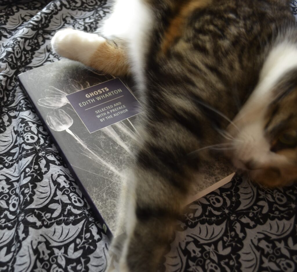 A calico tabby paws at black damask fabric, rolling on a black book.