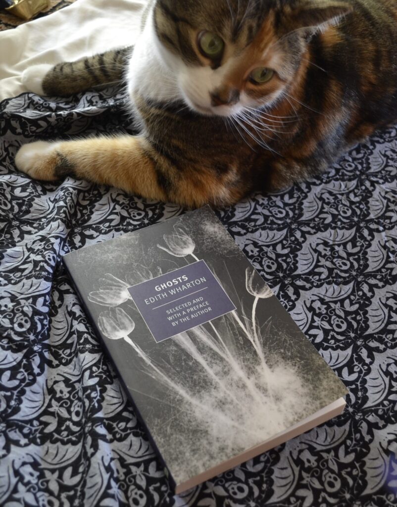 A ghostly cat peers at a book. The book's cover is black with the white ghostly afterimages of flowers on it.