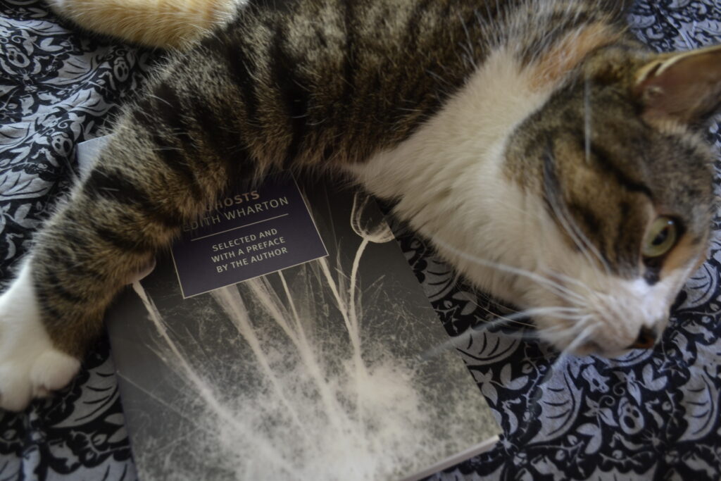 A calico tabby stares into the distance, a paw over a book — Ghosts by Edith Wharton.