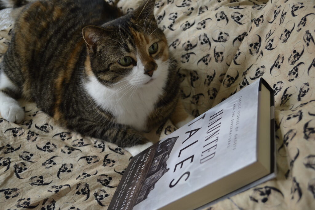 A calico tabby sits and contemplates a grey book on a skull-patterned background.
