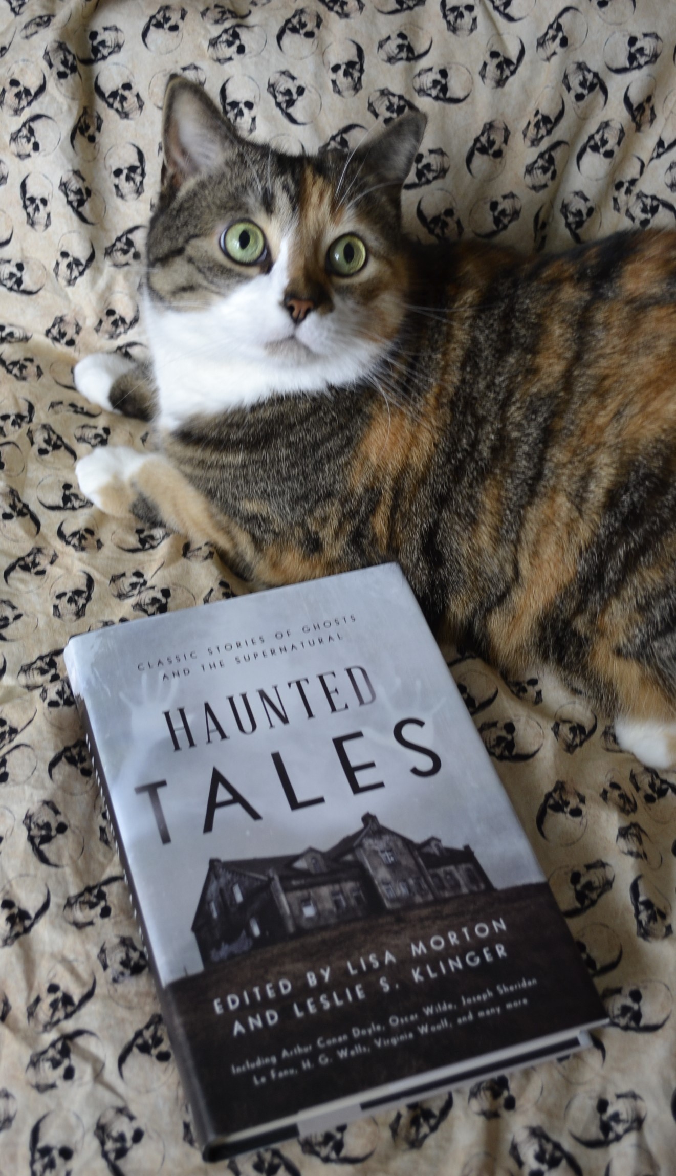 A calico tabby sits primly beside a book. The book is Haunted Tales and it features a spooky house on the grey cover.