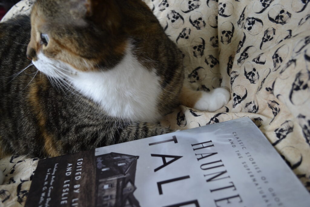 A calico tabby sites beside a book on a skull-patterned background.