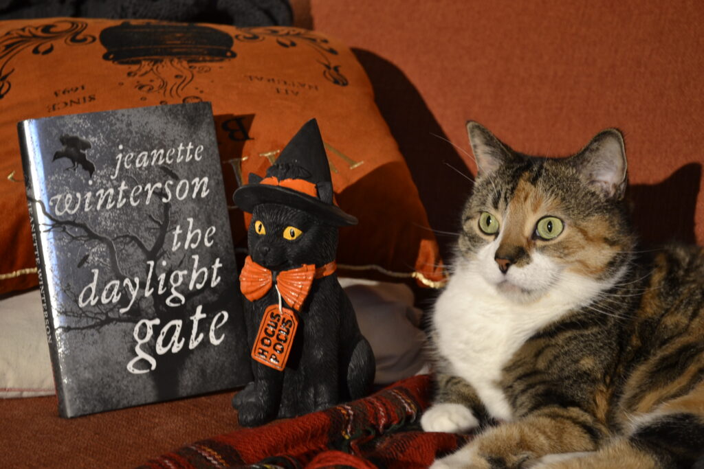 A calico tabby sits primly on an orange couch beside a silver-grey book and a black cat statue.