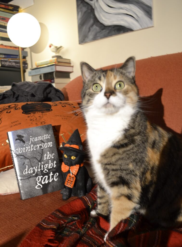 A calico tabby looks up and into a light with wide, green eyes. Behind her is a copy of Winterson's The Daylight Gate.