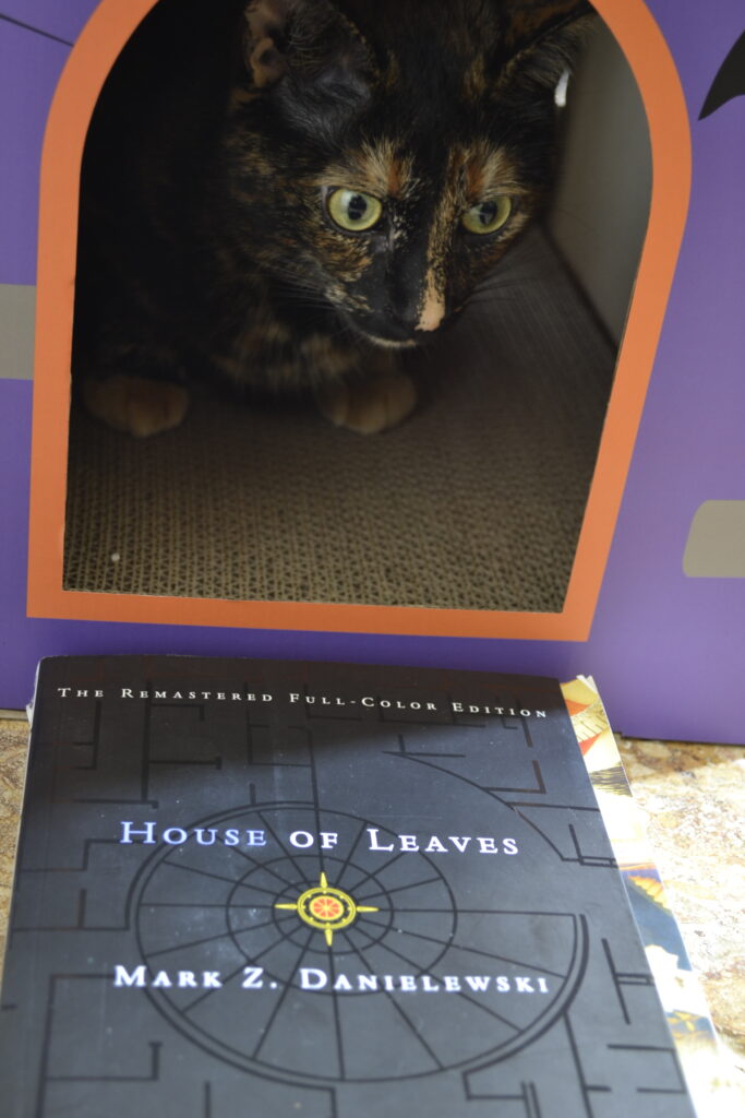 A tortie sits in a cardboard house. In front of her, is the remastered full-colour edition of House of Leaves.