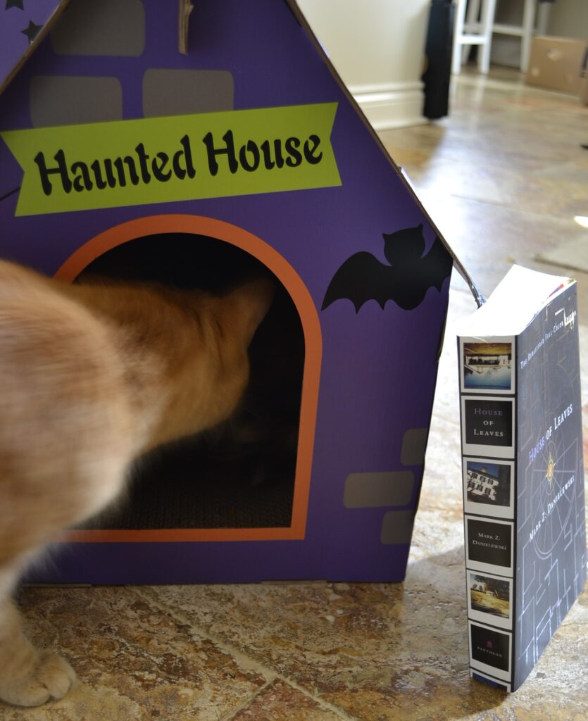 A orange cat dashes into a tiny haunted house. A copy of House of Leaves leans against the side of the house.