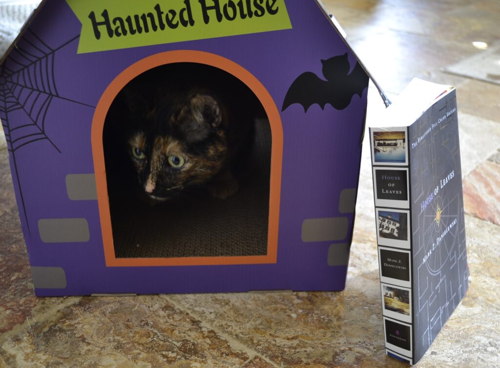 A tortie lurks in a tiny cardboard haunted house. A book leans against the side of the house.