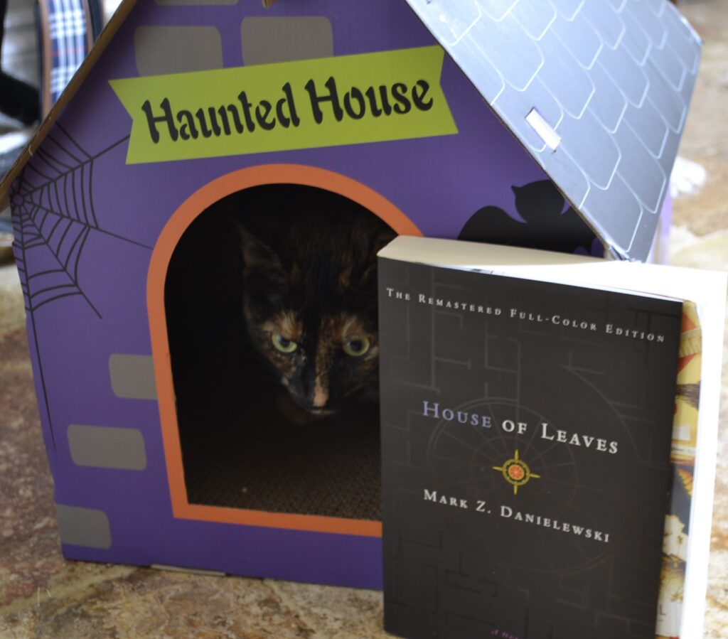 A tortie sits in a purple, cardboard haunt house (cat-sized). In front of her is a black book — House of Leaves by Mark Z Danielewski.