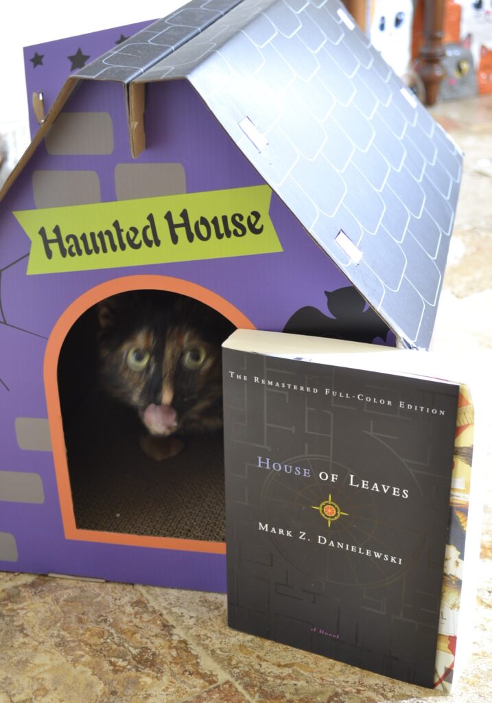 A ghostly image of a tortoiseshell cat licking her nose in a small, purple haunted house. A book sits beside her.