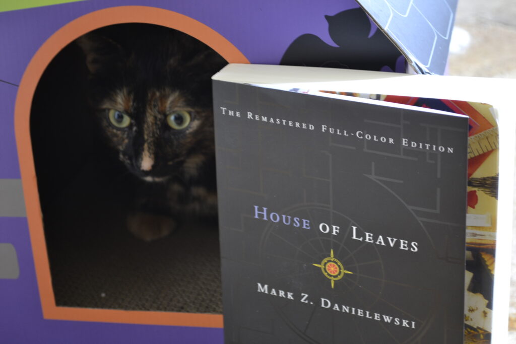 A tortie lurks in a small cardboard house, behind a copy of House of Leaves by Mark Z Danielewski.