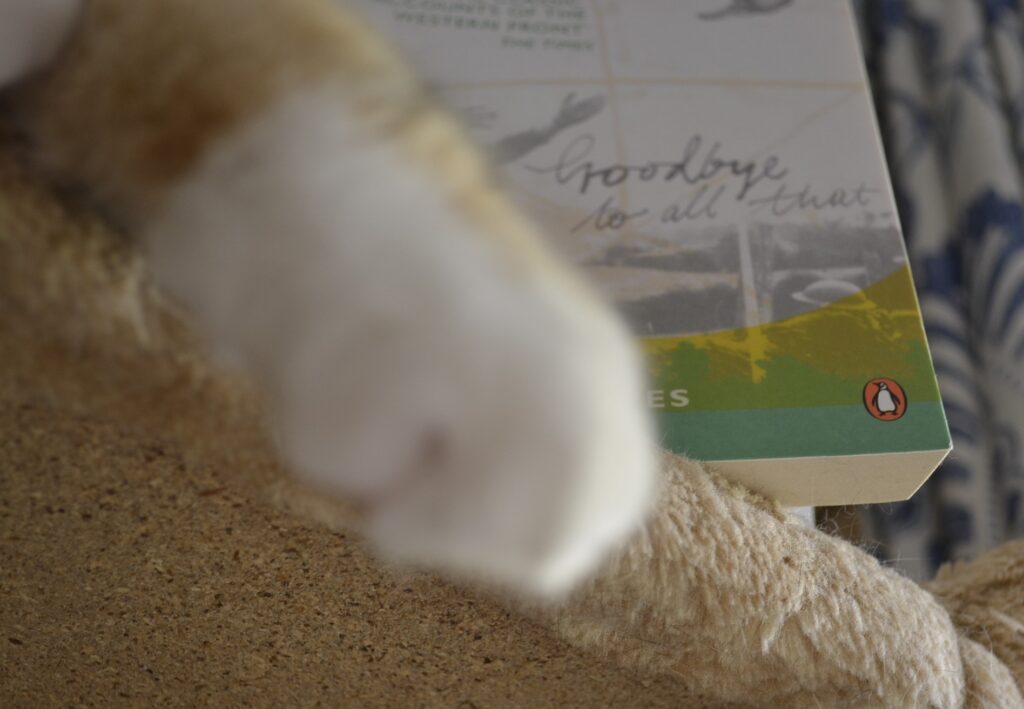 A white paw lays beside a book. Only the title can be seen, in a handwritten cursive: Goodbye to All That.