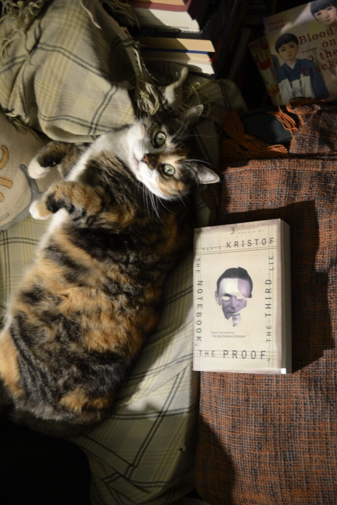 A calico tabby rolls onto her back beside a book by Agota Kristof.