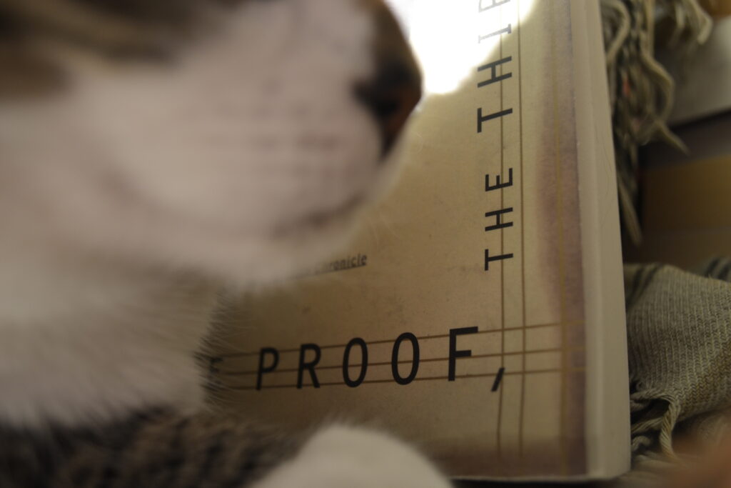 A tabby nose sits very close to the edge of a book.