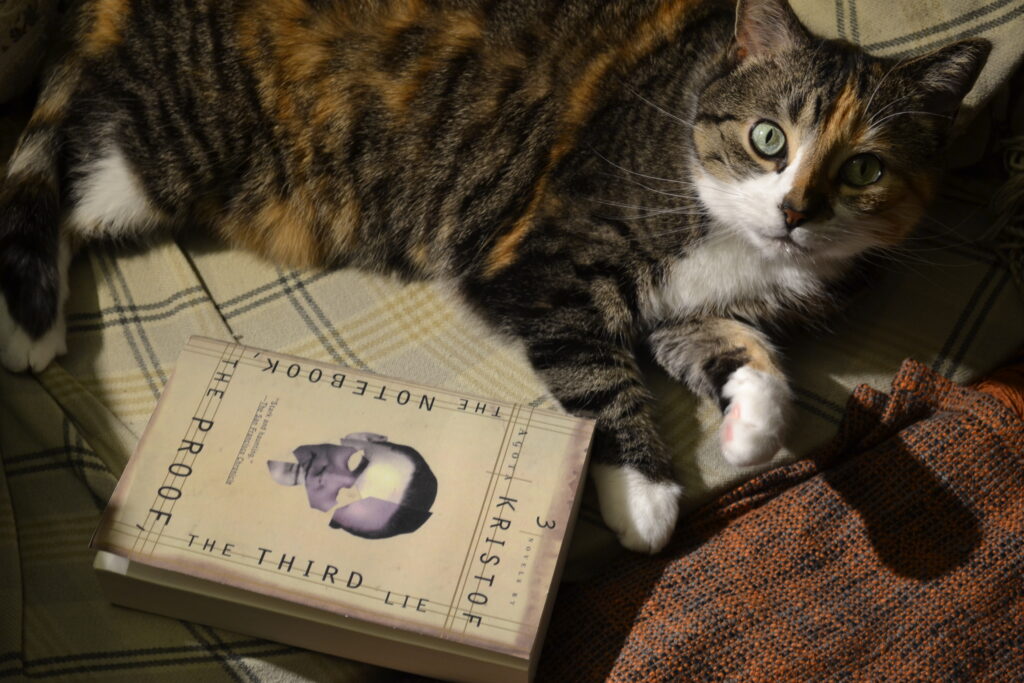 A calico tabby looks at you with wide eyes. Between her paws rests a book: The Notebook, The Proof, and The Third Lie.