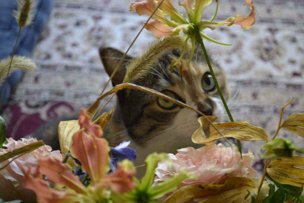 A calico tabby sniffs a yellow leaf in a bouquet of flowers and looks away innocently.