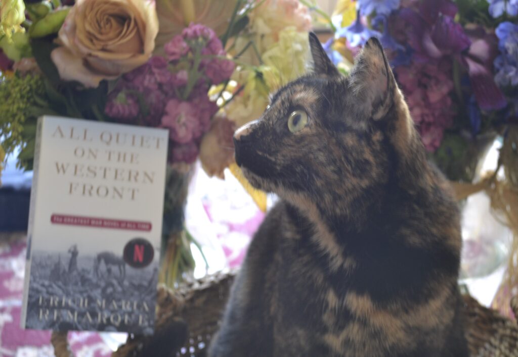 A tortie is framed with yellow, pink, and blue flowers, diffuse light softening her and the book beside her.