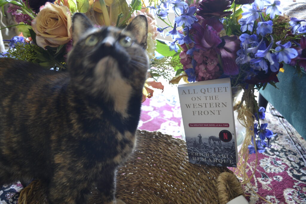 A tortie looks up, standing in a basket with a book, backed by flowers.