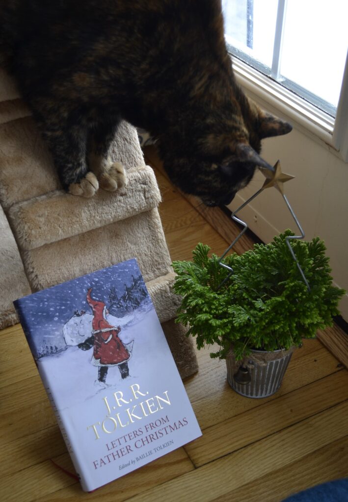 A tortie climbs down a step to sniff at a frosty fern and Letters from Father Christmas.
