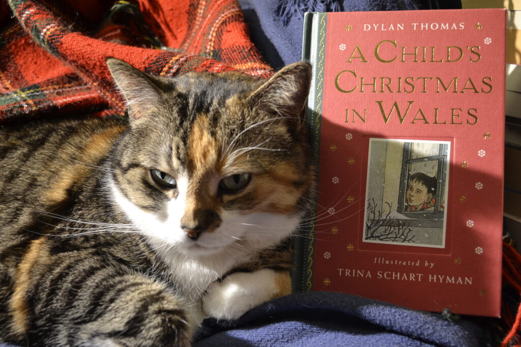 A calico tabby leans against a red-and-green copy of A Child's Christmas in Wales.