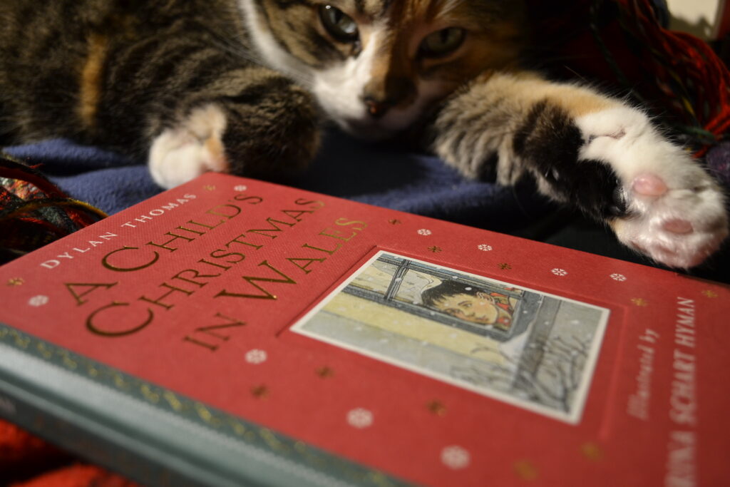 A calico tabby stretches out a multi-coloured paw to rest along the edge of a red book: A Child's Christmas in Wales.
