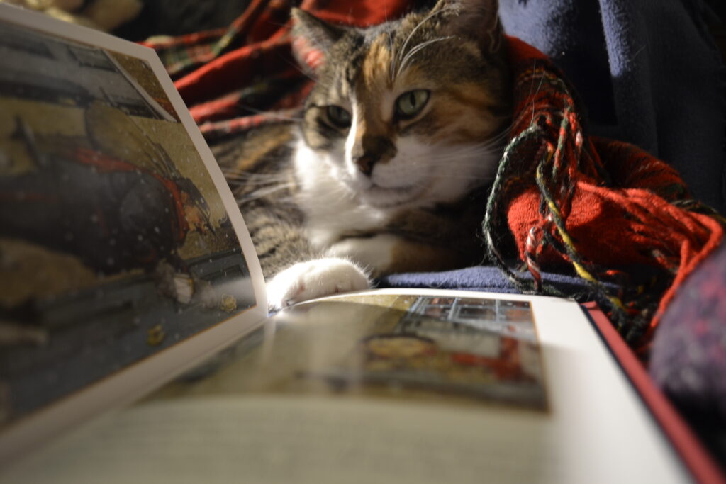 A calico tabby lies on a red-and-green tartan blanket and rests on paw on an open book.