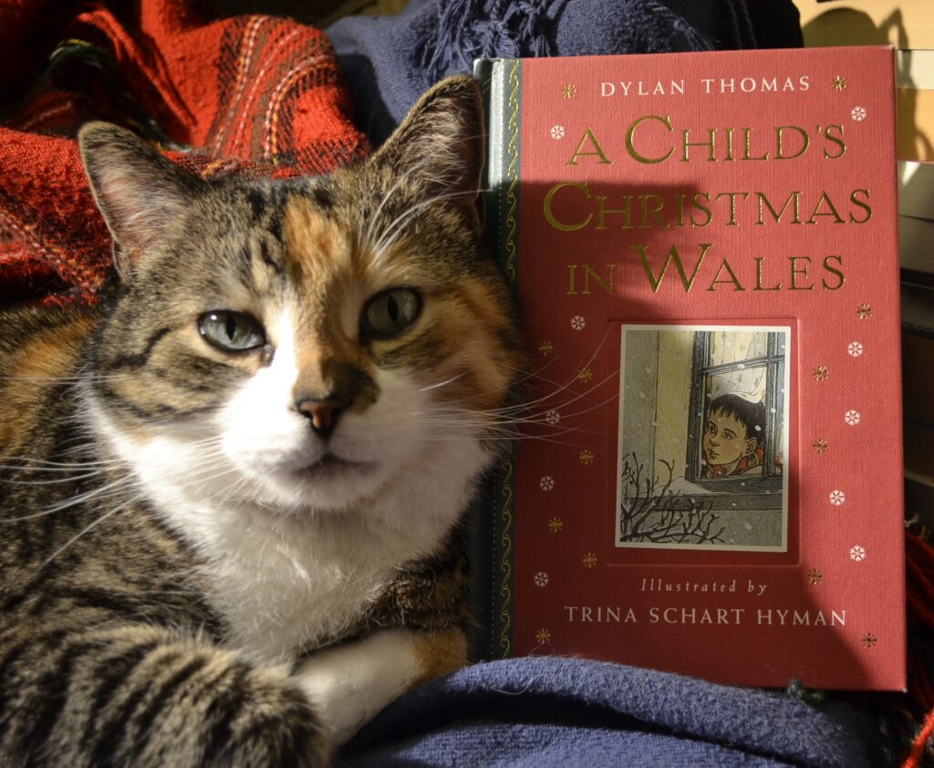 A calico tabby leans against a red-and-green book with gold text: A Child's Christmas in Wales.